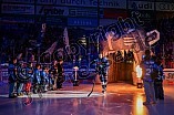 Eishockey, Herren, DEL, Saison 2025-2026, Spiel 50, ERC Ingolstadt - Adler Mannheim, 08.03.2026