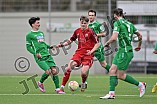 Fußball, Herren, Bayernliga Nord, Saison 2023-2024, Vorbereitung, VfB Eichstätt - TSV Kornburg, 17.02.2024