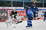 Eishockey, Herren, DEL, Saison 2024-2025, ERC Ingolstadt - Kids On Ice Day, 21.09.2024