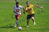 14.06.2015 - DJK Pollenfeld - TürkSpor Freystadt