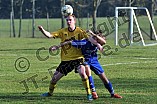 26.03.2015 - DJK Pollenfeld - SpVgg Roth