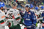 Eishockey, Herren, DEL, Saison 2021-2022, Spieltag 19, ERC Ingolstadt - Augsburger Panther, 02.11.2021