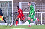 Fußball, Herren, Bayernliga Nord, Saison 2023-2024, Vorbereitung, VfB Eichstätt - ASV Neumarkt, 20.01.2024