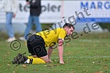 Fußball, Herren, Kreisklasse Neumarkt Jura Süd, Saison 2023-2024, Spieltag 14, DJK Pollenfeld - SG Thalmässing-Eysölden, 12.11.2023