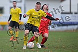 Fußball, Herren, Kreisklasse Neumarkt Jura Süd, Saison 2023-2024, Spieltag 14, DJK Pollenfeld - SG Thalmässing-Eysölden, 12.11.2023