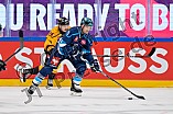 Hockey, Mens, CHL, Season 2025-2026, Regular Season, Game Day 2, ERC Ingolstadt - Kalpa Kuopio, 30.08.2025