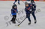 Eishockey, Herren, DEL, Saison 2024-2025, ERC Ingolstadt - Kids On Ice Day, 11.01.2025