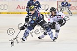 02.01.2015 - ERC Ingolstadt - Thomas Sabo Ice Tigers