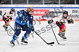 Eishockey, Frauen, DFEL, Saison 2024-2025, ERC Ingolstadt - EC Bergkamener Bären, 04.01.2025