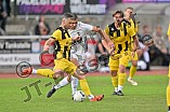 Fußball, Herren, Bezirksliga Oberbayern Nord, Saison 2023-2024, Spieltag 12, TSV Gaimersheim - SE Freising, 08.10.2023