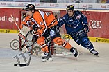 ERC Ingolstadt vs Grizzlys Wolfsburg, Eishockey, DEL, Deutsche Eishockey Liga, 31.01.2016