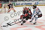 29.04.2014 - Kölner Haie - ERC Ingolstadt