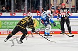 Eishockey, Herren, DEL, Saison 2024-2025, Playoffs Viertelfinale, Spiel 6, Nürnberg Ice Tigers - ERC Ingolstadt, 28.03.2025