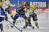 Eishockey, Frauen, DFEL, Saison 2021-2022, ERC Ingolstadt - Mad Dogs Mannheim, 23.10.2021
