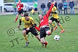 17.10.2015 - DJK Pollenfeld - SV Rednitzhembach