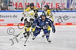 Eishockey, Frauen, DFEL, Saison 2021-2022, ERC Ingolstadt - Mad Dogs Mannheim, 24.10.2021