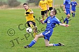 23.03.2014 - SV Ochsenfeld - DJK Pollenfeld