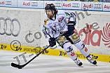 23.12.2014 - ERC Ingolstadt - Straubing Tigers