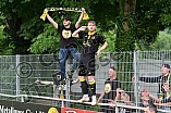 Regionalliga Bayern, Ligapokal, Finale, Herren, BFV, Saison 2019-2021, VfB Eichstätt - SpVgg Bayreuth, 08.06.2021