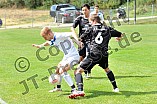 11.08.2013 - SV Denkendorf - DJK Ingolstadt