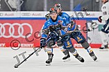 Eishockey, Herren, DEL, Saison 2023-2024, Spieltag 38, ERC Ingolstadt - Adler Mannheim, 14.01.2024