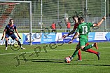 Fußball, Herren, Bayernliga Nord, Saison 2023-2024, Spieltag 12, 1. SC Feucht - VfB Eichstätt, 16.09.2023