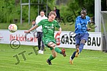 Fußball, Herren, Bezirksliga Oberbayern Nord, Saison 2022-2023, Spieltag 29, SV Manching - SVN München, 19.05.2023