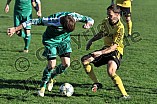 31.10.2015 - DJK Pollenfeld - SpVgg Wettelsheim