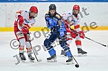 Eishockey, DNL Top Division Playoffs, Saison 2023-2024, Viertelfinale - Spiel 5, ERC Ingolstadt - EV Landshut, 12.03.2024