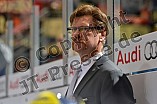 ERC Ingolstadt vs Schwenninger Wild Wings, Eishockey, DEL, Deutsche Eishockey Liga, 20.11.2015