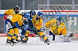 Eishockey, Frauen, DFEL, Saison 2025-2026, Testspiel, ERC Ingolstadt - HC Davos, 14.02.2026