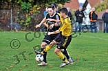 30.10.2016 - DJK Pollenfeld - TSV Heideck