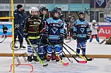 Eishockey, Herren, DEL, Saison 2023-2024, ERC Ingolstadt - Kids on Ice Day, 18.11.2023