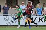 Fußball, Herren, 3. Bundesliga, Saison 2023-2024, Vorbereitung, FC Ingolstadt 04 - VfB Eichstätt, 04.07.2023