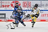 Eishockey, Frauen, DFEL, Saison 2023-2024, ERC Ingolstadt - Mad Dogs Mannheim, 18.02.2024