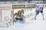 11.01.2015 - ERC Ingolstadt - Hamburg Freezers