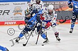 Eishockey, Frauen, DFEL, Saison 2023-2024, ERC Ingolstadt - ESC Planegg-Würmtal, 26.11.2023
