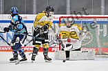 Eishockey, Frauen, DFEL, Halbfinale, Saison 2022-2023, ERC Ingolstadt - Mad Dogs Mannheim, 25.02.2023