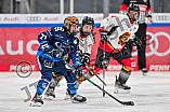 Eishockey, Frauen, DFEL, Saison 2024-2025, ERC Ingolstadt - EC Bergkamener Bären, 05.01.2025