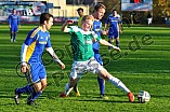 08.11.2014 - VfB Eichstätt - TSV 1883 Bogen