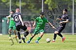 Fußball, Herren, Landesliga Südwest, Saison 2025-2026, Vorbereitung, TSV 1861 Nördlingen - SV Manching, 22.06.2025