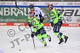 Eishockey, Herren, DEL, Saison 2020-2021, ERC Ingolstadt - Straubing Tigers, 13.02.2021