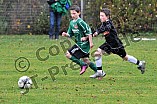 10.11.2013 - JFG Region Eichstätt - SV Ingolstadt-Hundszell