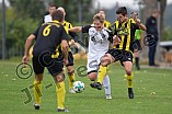 01.09.2018 - DJK Pollnfeld - TSV Röttenbach