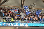 14.04.2015 - Adler Mannheim - ERC Ingolstadt