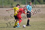 Fußball, Herren, Kreisliga West, Saison 2022-2023, Spieltag 2, DJK Pollenfeld - DJK Stopfenheim, 21.08.2022