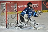 ERC Ingolstadt vs Eisbaeren Berlin, Eishockey, DEL, Deutsche Eishockey Liga, 15.01.2016