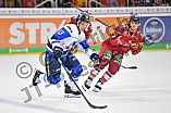 Duesseldorfer EG vs ERC Ingolstadt, Eishockey, DEL, Deutsche Eishockey Liga, Spieltag 47, 17.02.2019