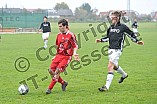 17.10.2010 - DJK Limes 09 / 1. FC Schwand