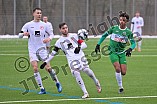 Fußball, Herren, Regionalliga Bayern, Saison 2021-2022, Testspiel, VfB Eichstätt - SV Seligenporten, 22.01.2021